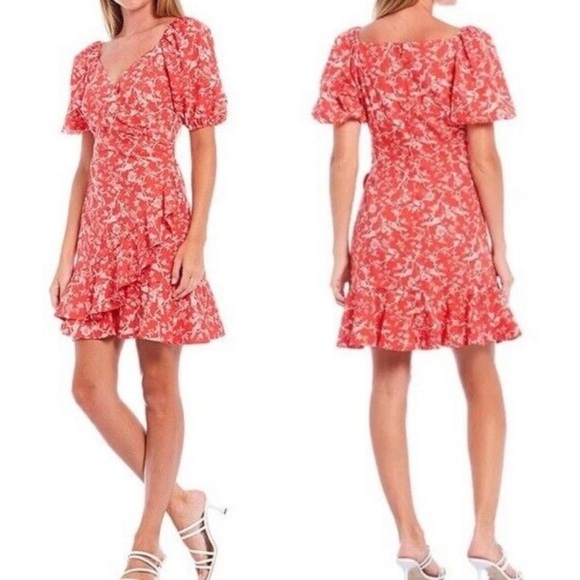 Sachin & Babi 12 Floral Bird Print Ruffles Anthropologie Feminine - Picture 1 of 16